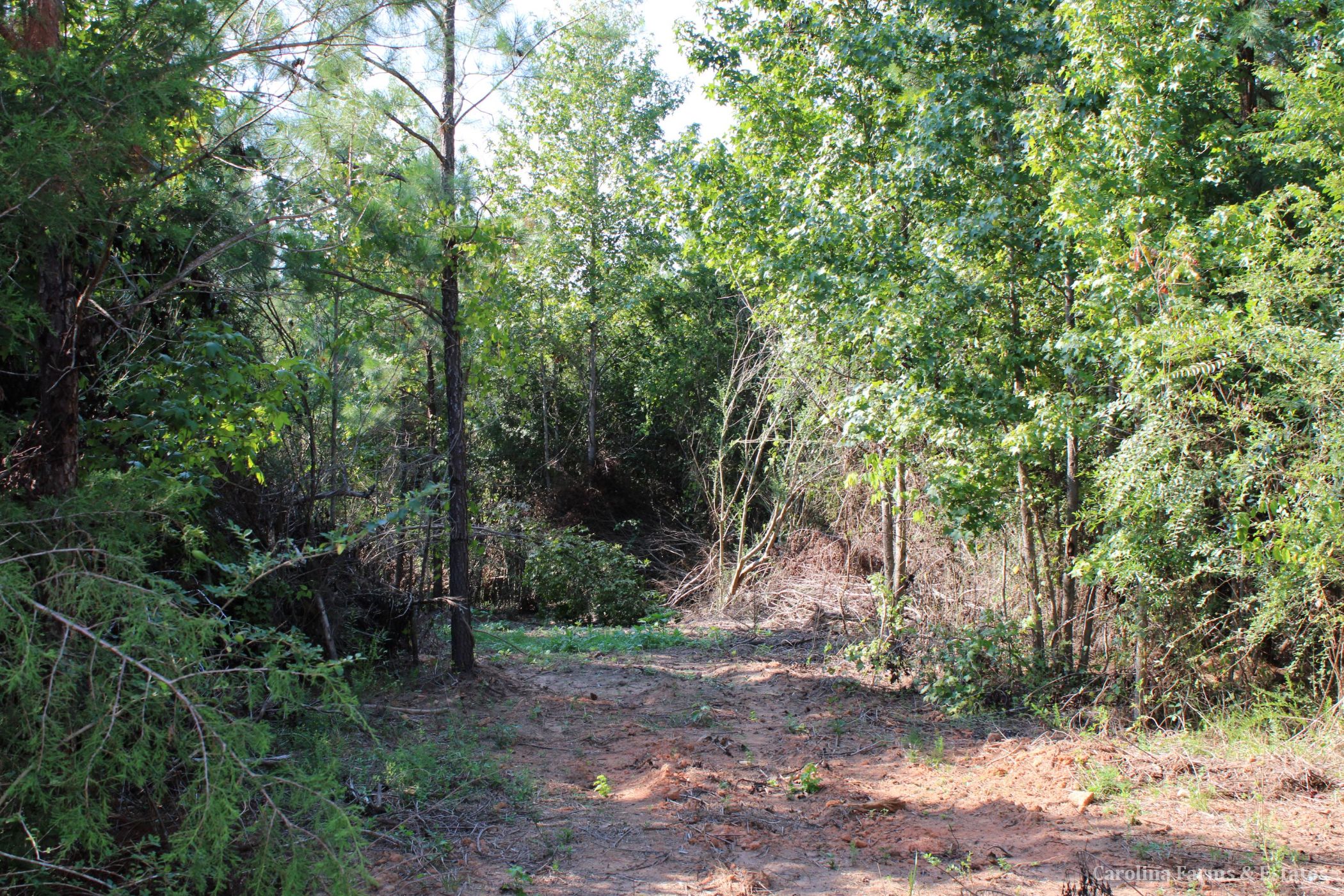 Land & Lots